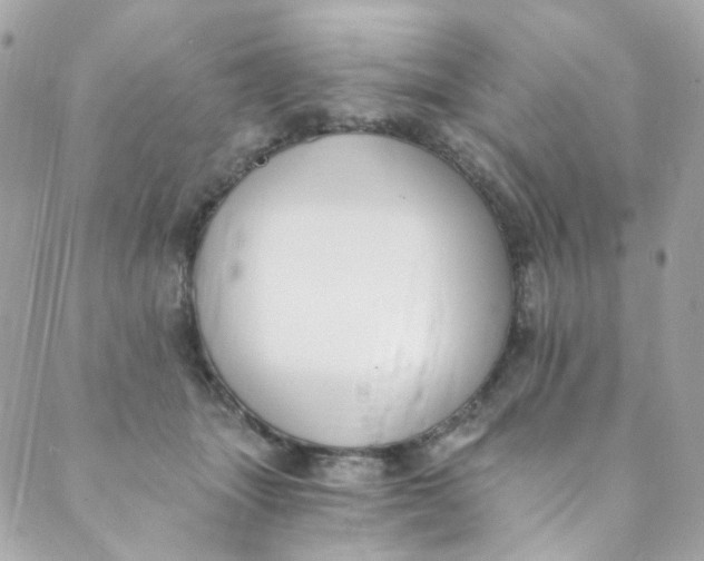 X0000088840463200706281826