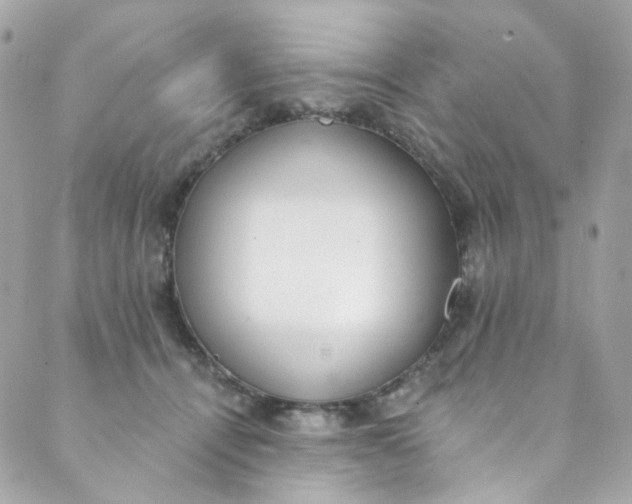 X0000088840464200706281826