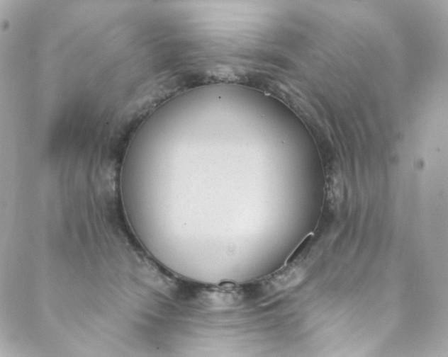 X0000088840466200706281826