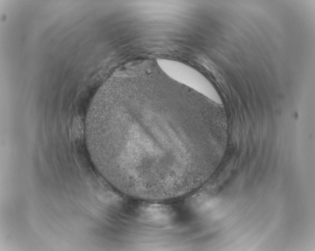 X0000088840467200706281826