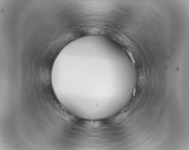 X0000088840469200706281826