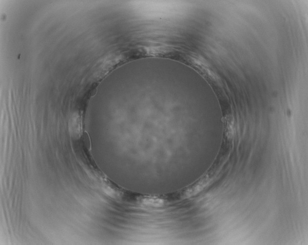 X0000088840471200706281826