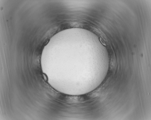 X0000088840473200706281826