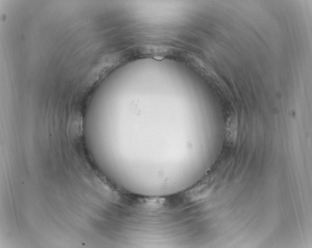 X0000088840474200706281826