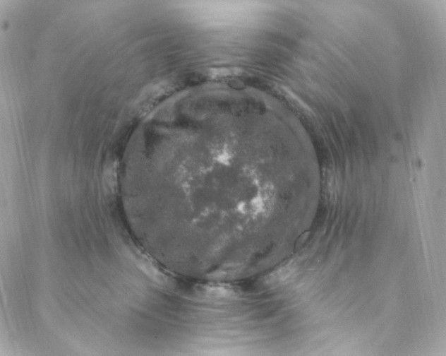 X0000088840475200706281826