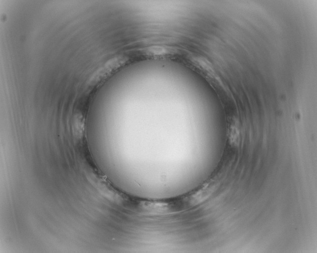 X0000088840476200706281826