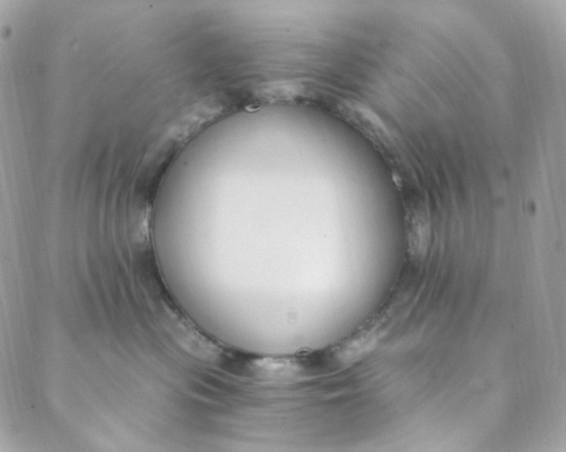 X0000088840477200706281826