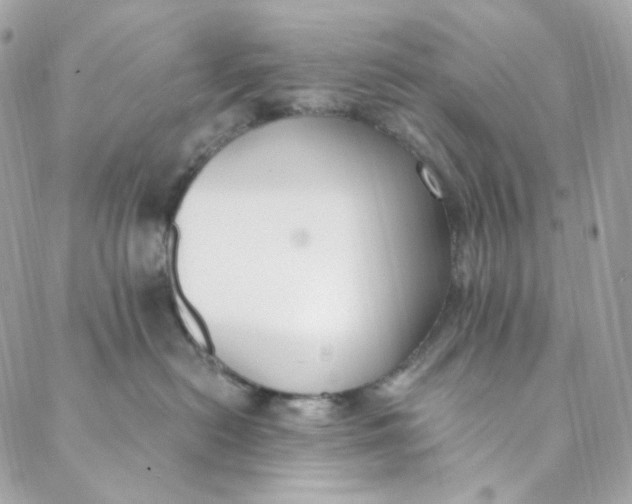 X0000088840478200706281826