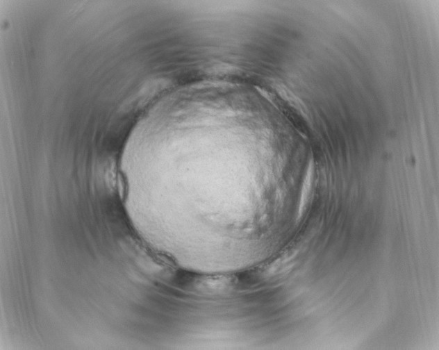 X0000088840479200706281826