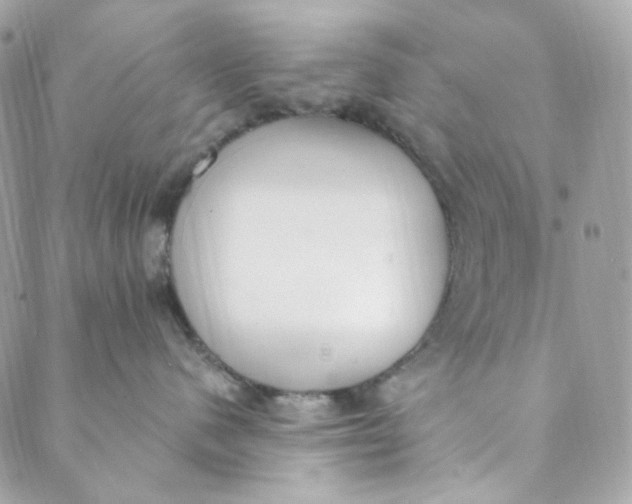 X0000088840480200706281826