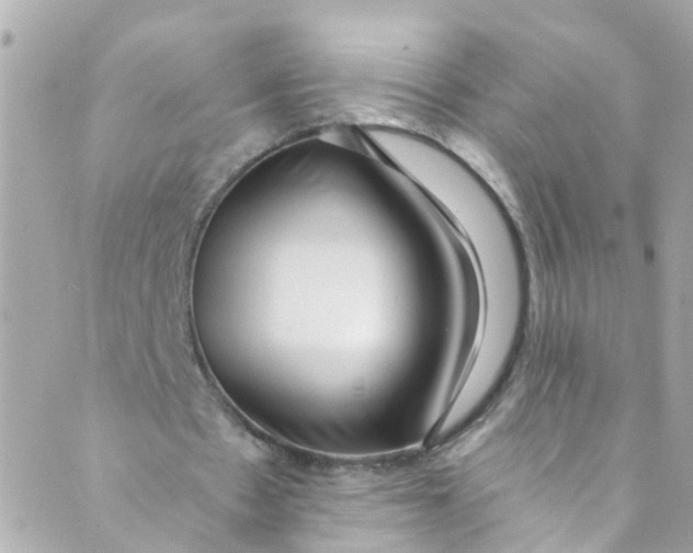 X0000088840481200706281825