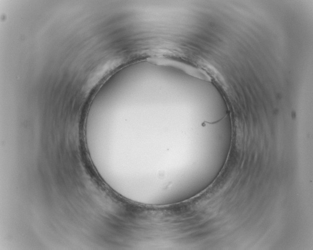 X0000088840482200706281825