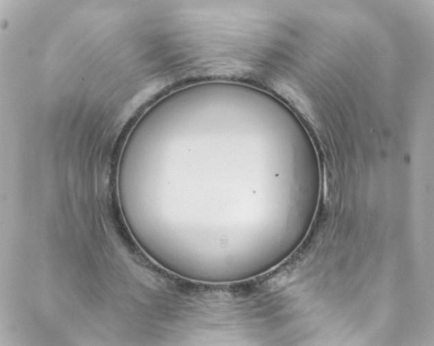 X0000088840483200706281825