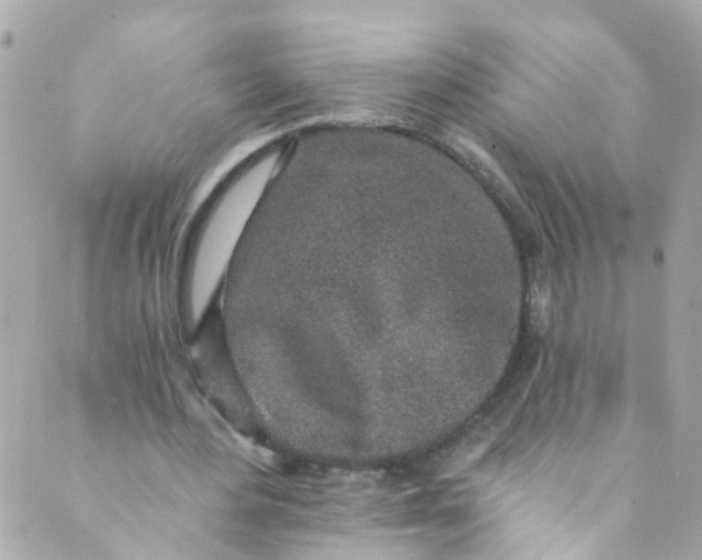 X0000088840484200706281825