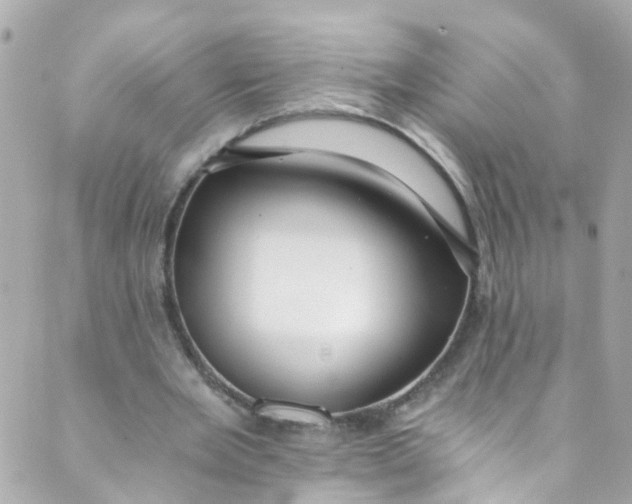 X0000088840485200706281825