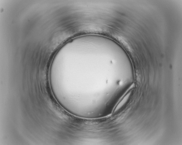 X0000088840487200706281825