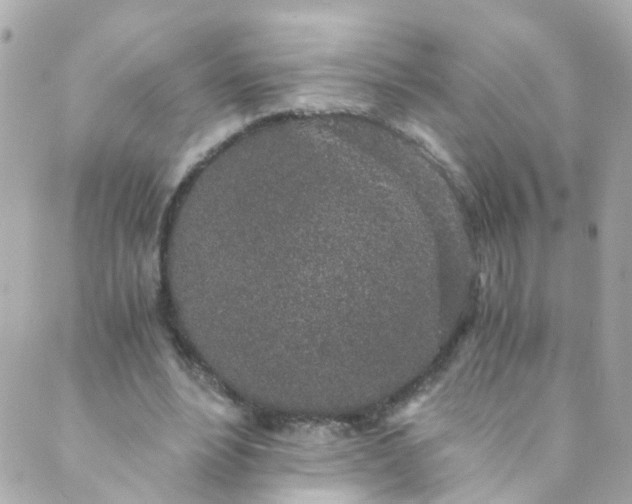 X0000088840488200706281825