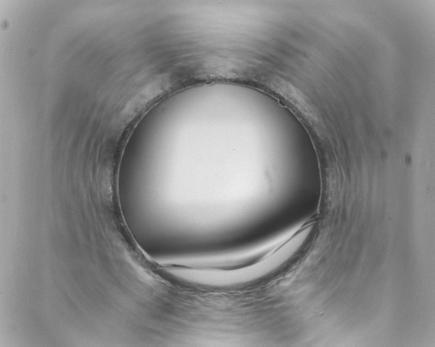 X0000088840489200706281825