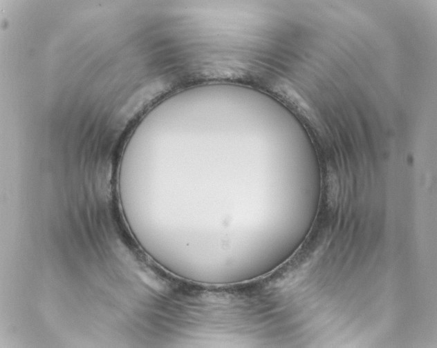 X0000088840490200706281825