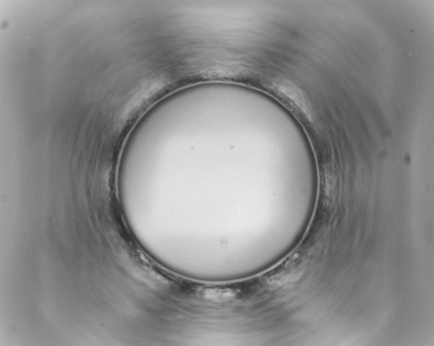 X0000088840491200706281825