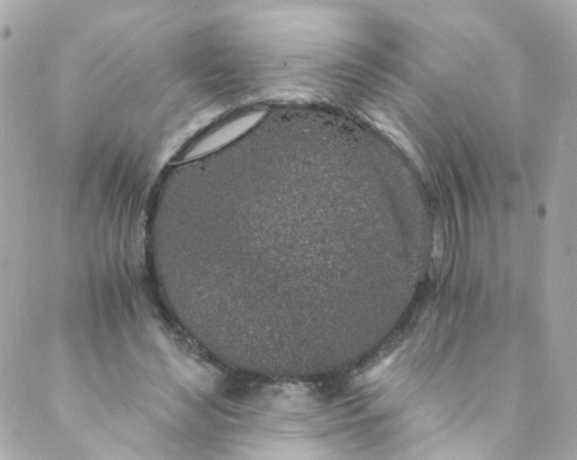 X0000088840492200706281825