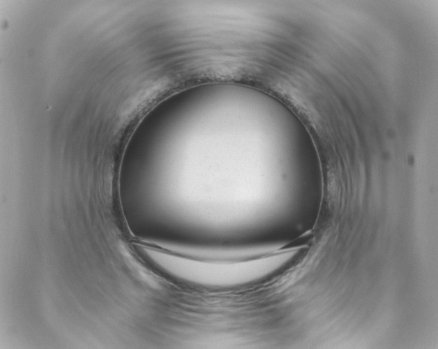 X0000088840493200706281825