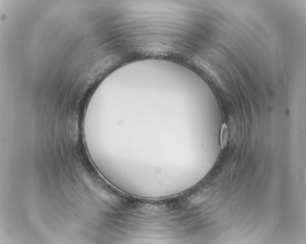 X0000088840494200706281825