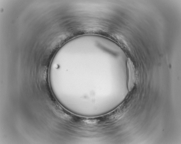 X0000088840495200706281825