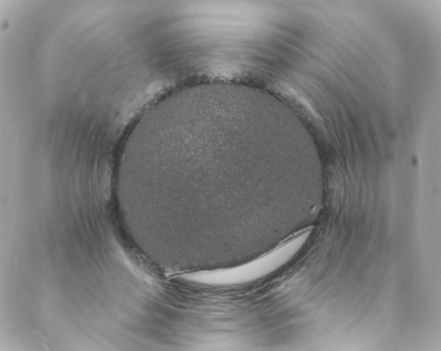 X0000088840496200706281825