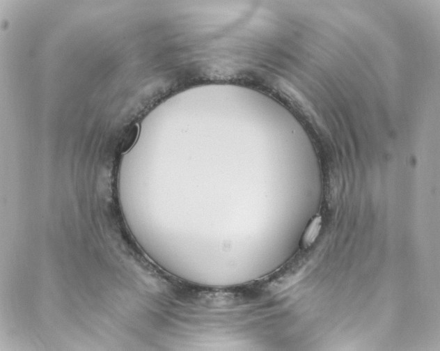 X0000088840497200706281825