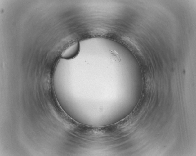 X0000088840498200706281825