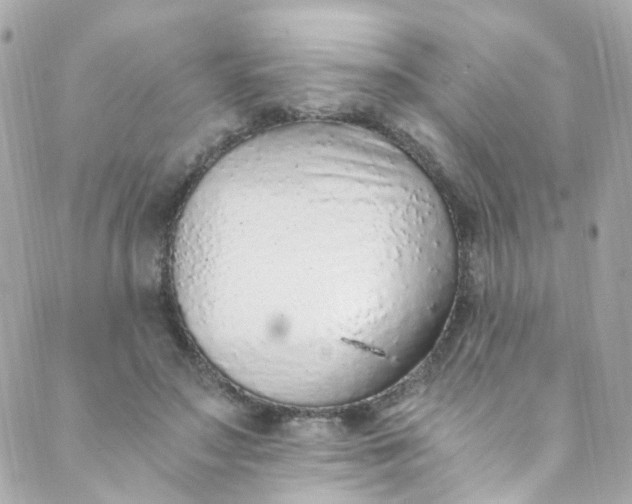 X0000088840499200706281825