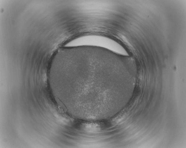 X0000088840500200706281825