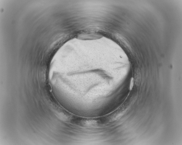 X0000088840501200706281825