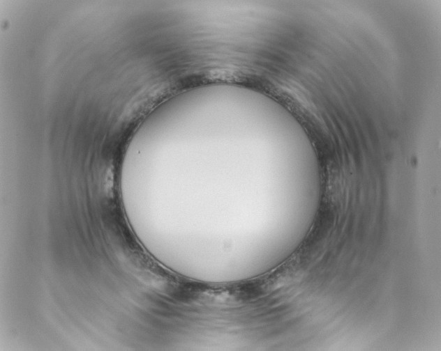 X0000088840502200706281825