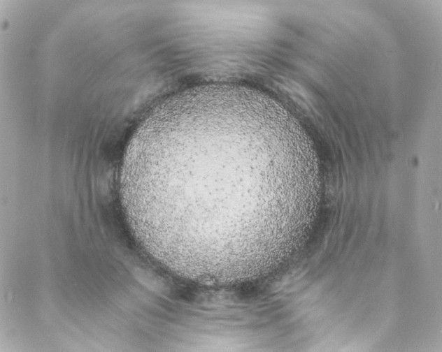 X0000088840503200706281825