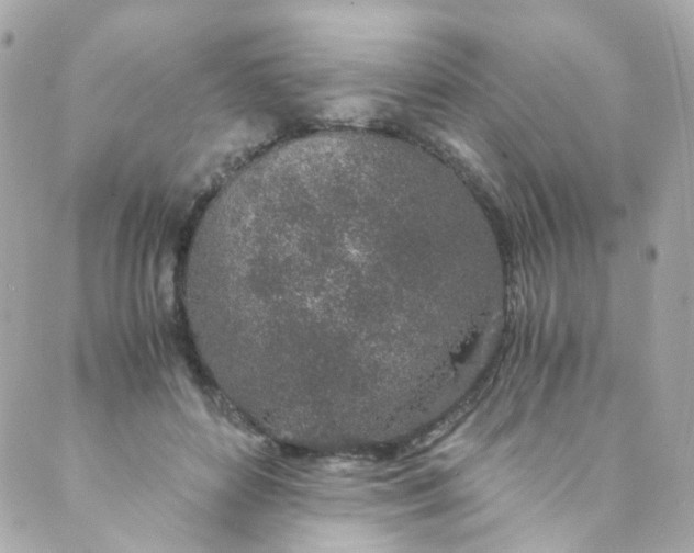 X0000088840504200706281825