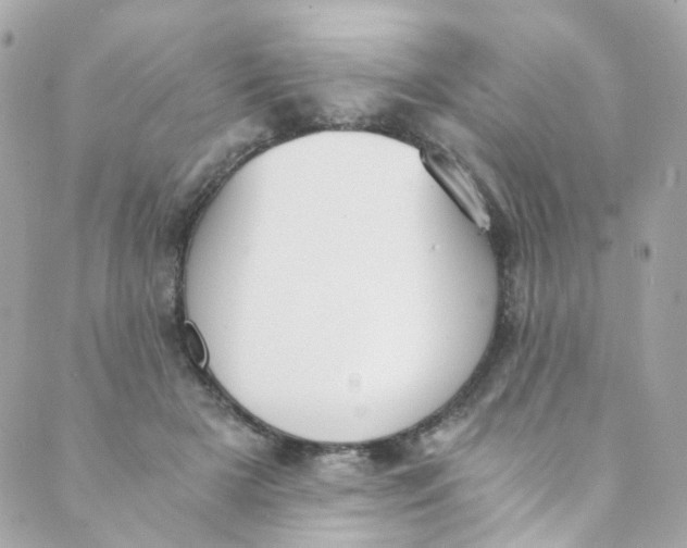 X0000088840505200706281825