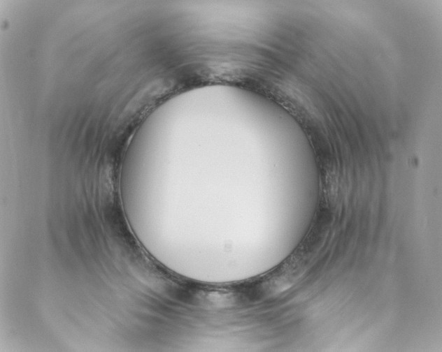 X0000088840506200706281825