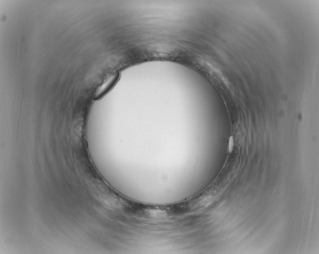 X0000088840509200706281825