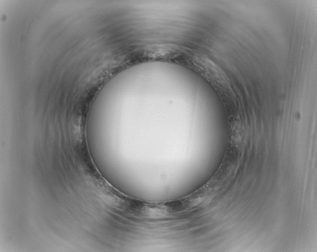 X0000088840510200706281825