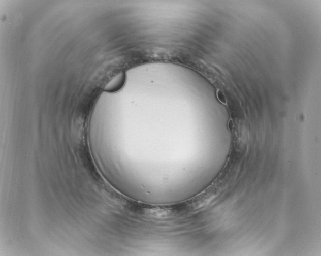 X0000088840511200706281825