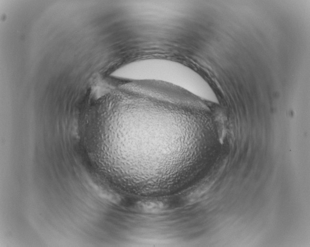 X0000088840512200706281825