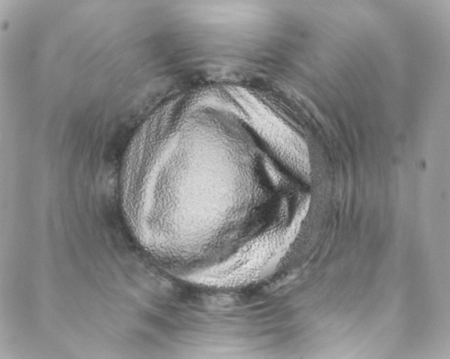 X0000088840513200706281825