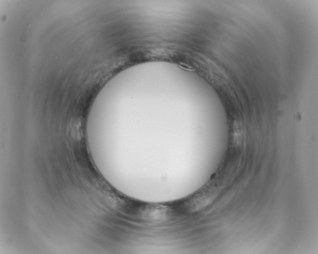 X0000088840514200706281825