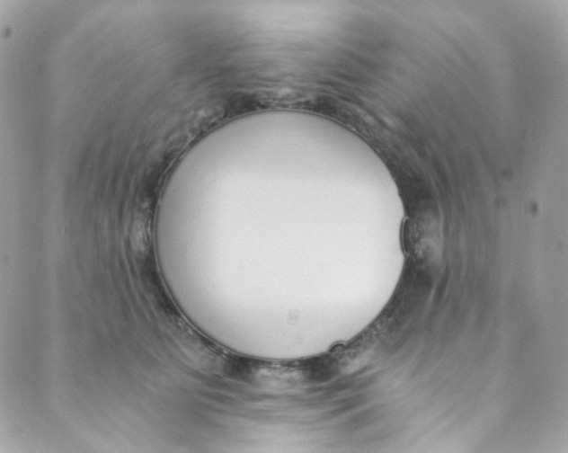 X0000088840515200706281825