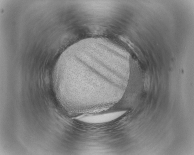 X0000088840516200706281825