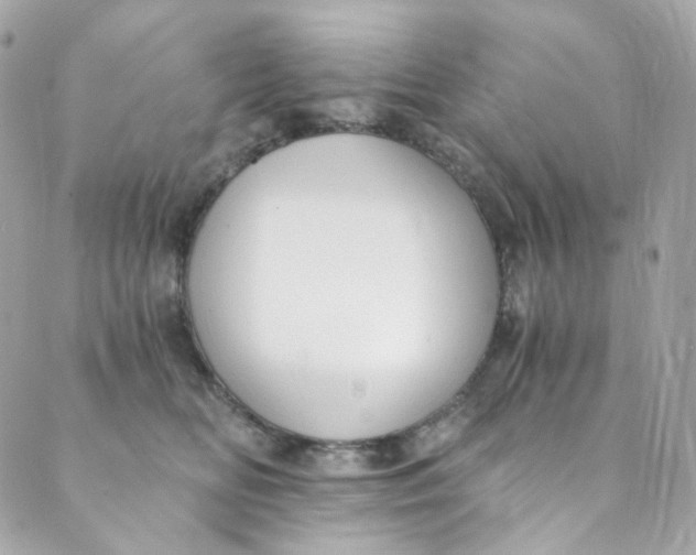 X0000088840518200706281825