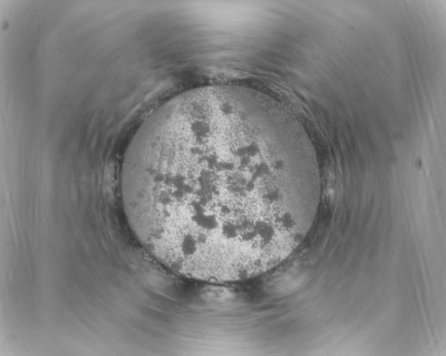 X0000088840519200706281825