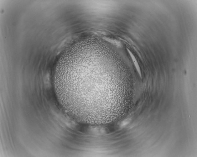 X0000088840520200706281825